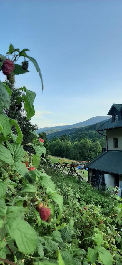 Willa Monte Neve Stronie Śląskie Exterior foto